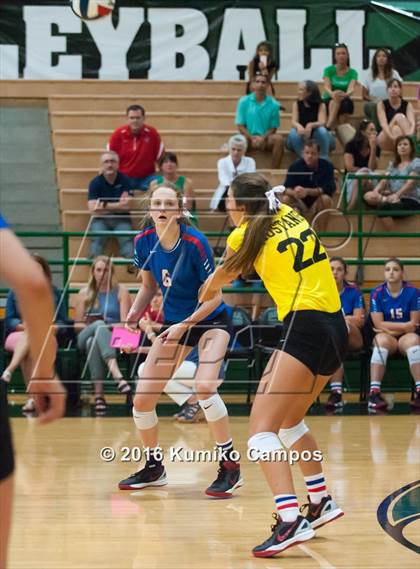 Thumbnail 1 in Carroll vs. Pearce photogallery.