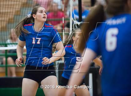 Thumbnail 1 in Carroll vs. Pearce photogallery.
