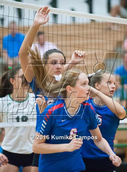 Thumbnail 2 in Carroll vs. Pearce photogallery.