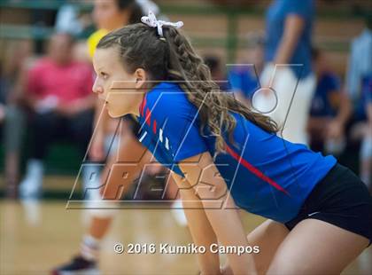 Thumbnail 2 in Carroll vs. Pearce photogallery.