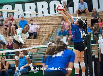 Thumbnail 2 in Carroll vs. Pearce photogallery.