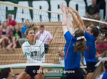 Thumbnail 2 in Carroll vs. Pearce photogallery.