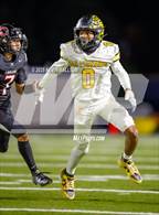 Photo from the gallery "Cleveland vs. San Fernando (CIF LACS Div 2 Final)"