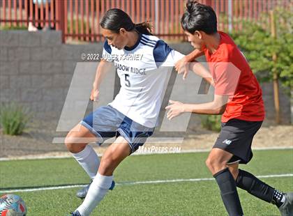 Thumbnail 3 in Shadow Ridge @ Doral Academy of Red Rock photogallery.