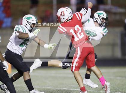 Thumbnail 3 in Myers Park @ Olympic photogallery.