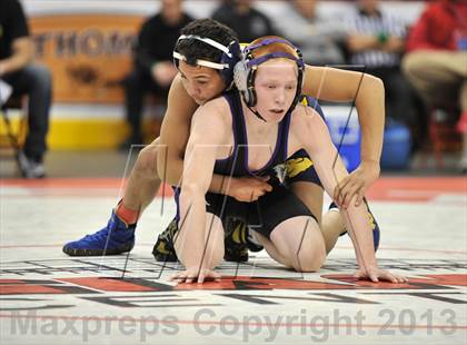 Thumbnail 1 in PIAA AA Wrestling Championships (Semifinals) photogallery.