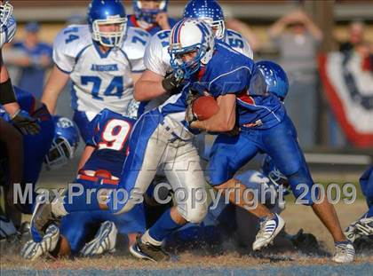 Thumbnail 2 in Auburn @ Nashville (IHSA Class 3A Playoffs) photogallery.