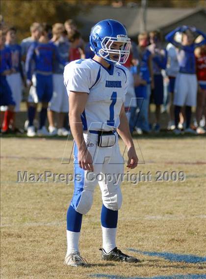 Thumbnail 1 in Auburn @ Nashville (IHSA Class 3A Playoffs) photogallery.