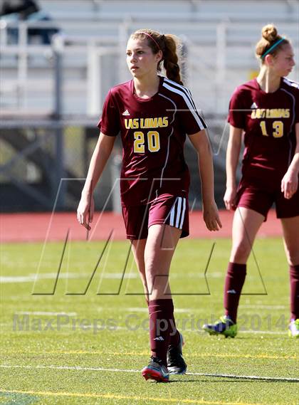 Thumbnail 1 in Campolindo vs. Las Lomas (CIF NCS D2 Final) photogallery.