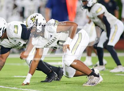 Thumbnail 1 in Oakleaf @ Bolles photogallery.