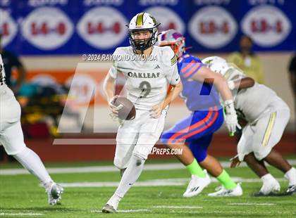 Thumbnail 2 in Oakleaf @ Bolles photogallery.