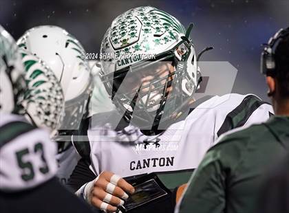 Thumbnail 3 in Canton @ Sunnyvale photogallery.