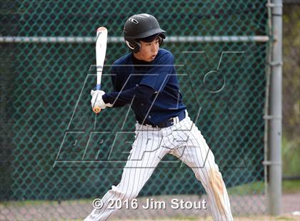 Thumbnail 3 in Eastchester @ Pelham photogallery.
