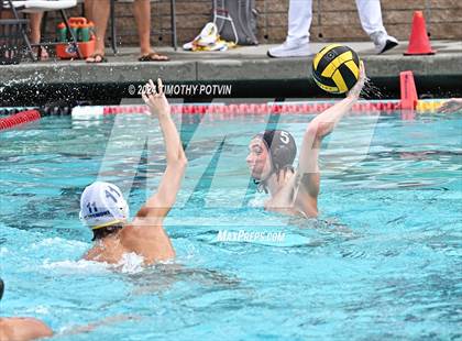 Thumbnail 3 in Grossmont @ Villa Park photogallery.