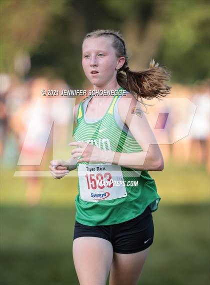 Thumbnail 1 in Saint Xavier Tiger Run photogallery.