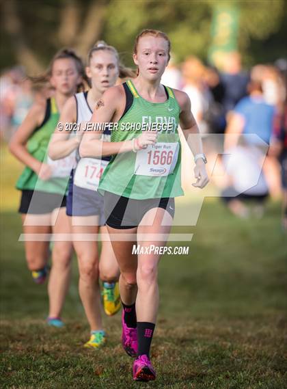 Thumbnail 1 in Saint Xavier Tiger Run photogallery.