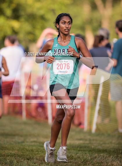 Thumbnail 1 in Saint Xavier Tiger Run photogallery.