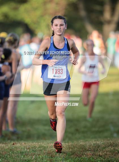 Thumbnail 1 in Saint Xavier Tiger Run photogallery.