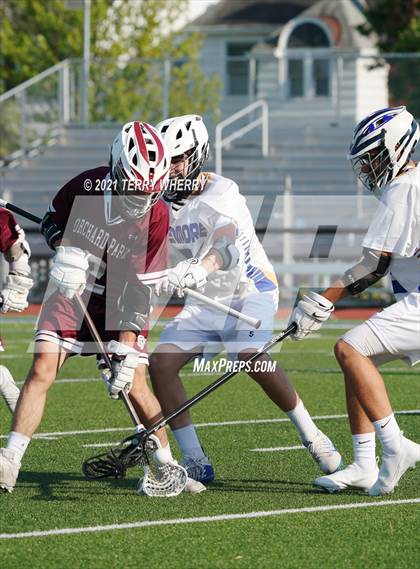 Thumbnail 1 in Orchard Park @ Kenmore West photogallery.