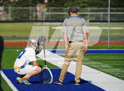 Thumbnail 2 in Orchard Park @ Kenmore West photogallery.