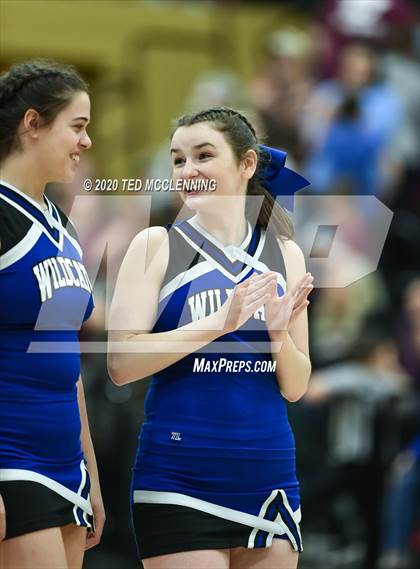 Thumbnail 1 in White County Central vs. Hector (AAA 2A State Playoff First Round) photogallery.