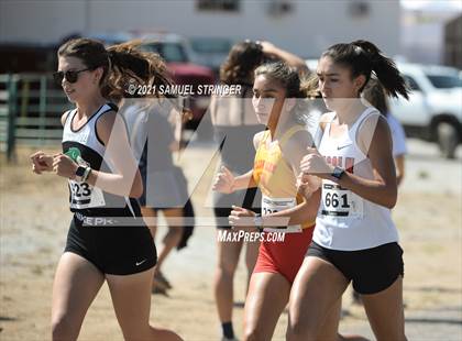 Thumbnail 1 in Frogtown Invitational (Large Schools Girls D1 & D2) photogallery.
