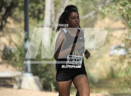 Thumbnail 2 in Frogtown Invitational (Large Schools Girls D1 & D2) photogallery.