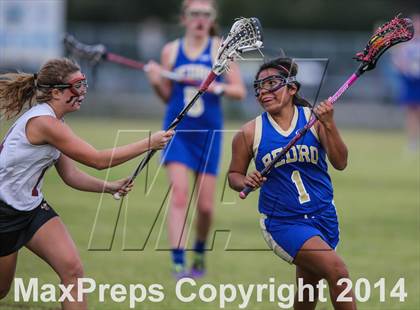 Thumbnail 3 in St. Augustine @ Menendez photogallery.