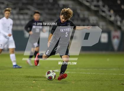 Thumbnail 1 in Air Academy vs. Skyview (CHSAA 4A Final) photogallery.