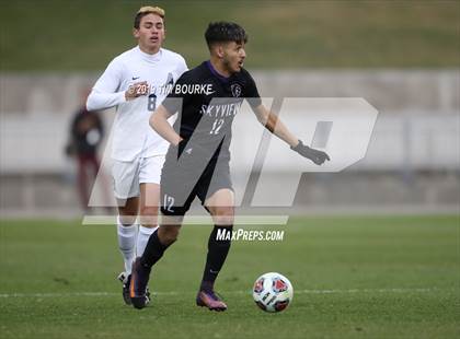 Thumbnail 1 in Air Academy vs. Skyview (CHSAA 4A Final) photogallery.
