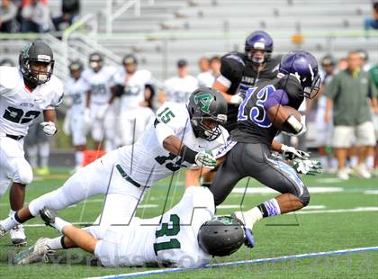 Thumbnail 3 in Atholton @ Long Reach photogallery.