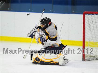 Thumbnail 2 in Sheehan @ Housatonic/Northwestern photogallery.