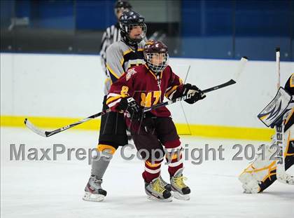 Thumbnail 1 in Sheehan @ Housatonic/Northwestern photogallery.