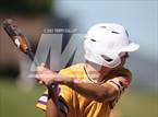 Photo from the gallery "Altamont vs. Wayne (UHSAA 1A Final)"