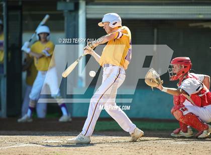 Thumbnail 1 in Altamont vs. Wayne (UHSAA 1A Final) photogallery.