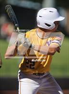 Photo from the gallery "Altamont vs. Wayne (UHSAA 1A Final)"