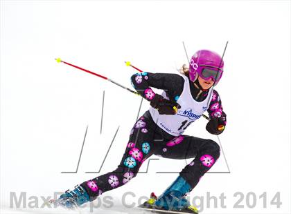 Thumbnail 1 in NYSPHSAA Alpine Skiing Championships (Girls Giant Slalom) photogallery.