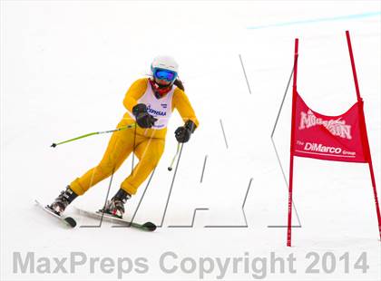 Thumbnail 1 in NYSPHSAA Alpine Skiing Championships (Girls Giant Slalom) photogallery.