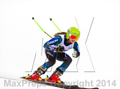 Thumbnail 1 in NYSPHSAA Alpine Skiing Championships (Girls Giant Slalom) photogallery.