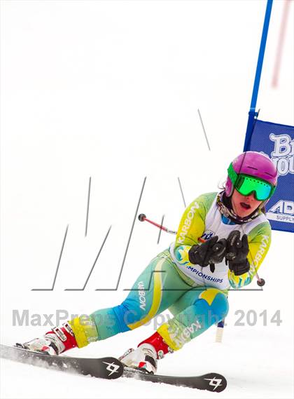 Thumbnail 1 in NYSPHSAA Alpine Skiing Championships (Girls Giant Slalom) photogallery.