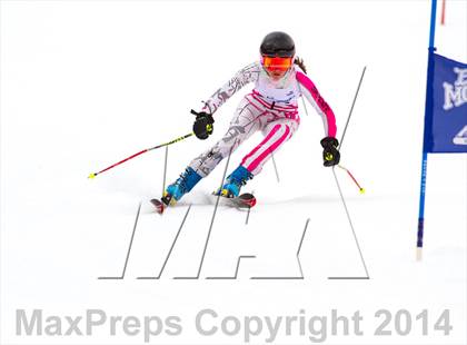 Thumbnail 2 in NYSPHSAA Alpine Skiing Championships (Girls Giant Slalom) photogallery.