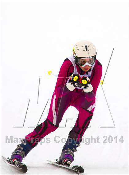 Thumbnail 3 in NYSPHSAA Alpine Skiing Championships (Girls Giant Slalom) photogallery.