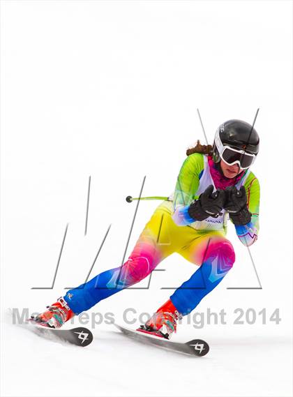 Thumbnail 1 in NYSPHSAA Alpine Skiing Championships (Girls Giant Slalom) photogallery.