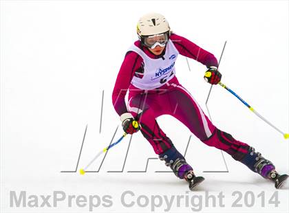 Thumbnail 3 in NYSPHSAA Alpine Skiing Championships (Girls Giant Slalom) photogallery.