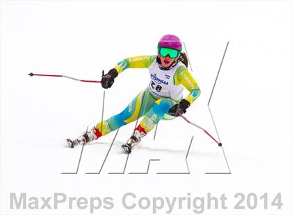 Thumbnail 2 in NYSPHSAA Alpine Skiing Championships (Girls Giant Slalom) photogallery.