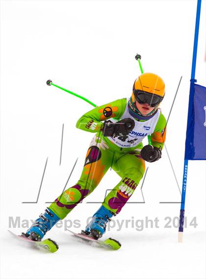 Thumbnail 3 in NYSPHSAA Alpine Skiing Championships (Girls Giant Slalom) photogallery.