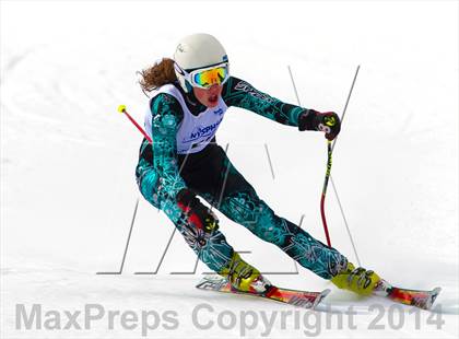 Thumbnail 2 in NYSPHSAA Alpine Skiing Championships (Girls Giant Slalom) photogallery.