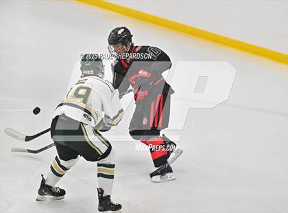 Thumbnail 3 in Castle View @ Mountain Vista photogallery.