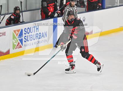 Thumbnail 3 in Castle View @ Mountain Vista photogallery.