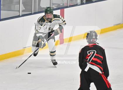 Thumbnail 3 in Castle View @ Mountain Vista photogallery.